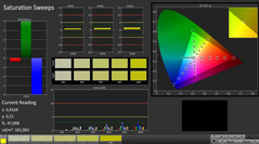 CalMAN: Color Saturation (calibrated)