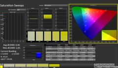 CalMAN: color saturation (calibrated)