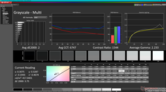 Grayscale after calibration