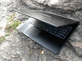 Eurocom will let customers choose the discount they want for Black Friday (Source: Eurocom)
