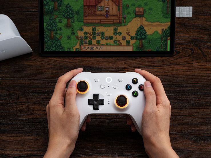 (Image source: 8BitDo)