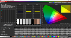 CalMAN ColorChecker (calibrated)