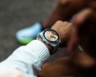 The Garmin Connect IQ Store is currently delaying app updates by several days.