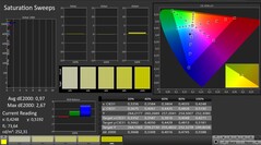 CalMAN: Saturation (calibrated)