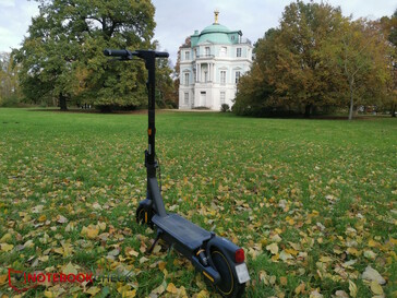 In the gardens of Charlottenburg Palace