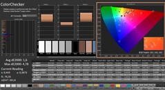 CalMAN: ColorChecker (calibrated)