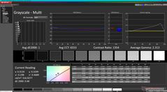 Grayscale before calibration (P3)