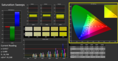 CalMAN - Color saturation (calibrated)