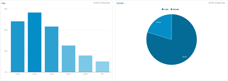 Google Analytics Demographics