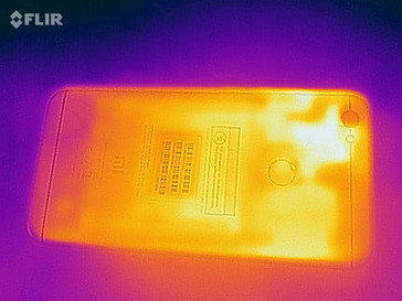 Thermal image - back