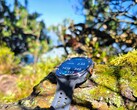 In review: Samsung Galaxy Watch Ultra2