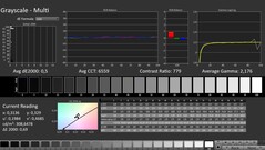 CalMAN: Grayscale (calibrated)