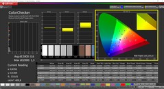 CalMAN ColorChecker (target color space P3)