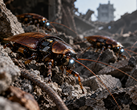 True cyborg insects may play an important role in future search and rescue missions.