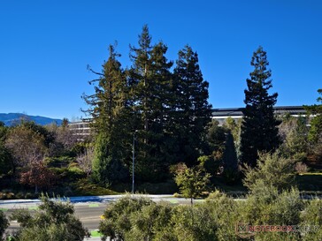The best view of Apple Park from the Visitor Center, which is not much of a view at all.