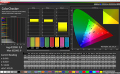 CalMAN - color accuracy (standard, sRGB)