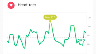 Redmi Watch 2 Lite pulse curve at high dynamics (before update)