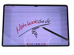 Only two Samsung Galaxy Tab S10 variants will launch this year (image via Notebookcheck)