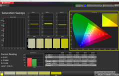 CalMAN Saturation calibrated