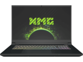 Schenker XMG Pro 17 E22 review: Gaming laptop with RTX 3080 Ti delivers the goods