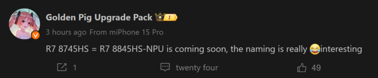 Golden Pig Upgrade's report on Ryzen 7 8745HS (Image source: Weibo [machine translated])