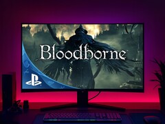 Bloodborne PC version seen on gaming monitor (Image source: Sony PlayStation with edits)