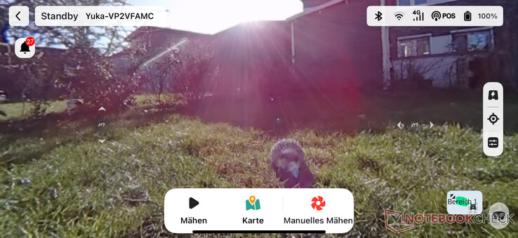 Live video in the Mammotion app