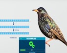 I Saved a PNG Image To A Bird (image source: Benn Jordan YouTube channel)