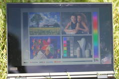 Screen in direct sunlight.