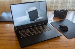 Schenker Key 17 Pro is a decent workstation laptop