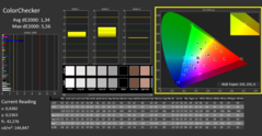 CalMAN - color checker (calibrated)