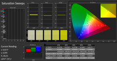 CalMAN - Color saturation