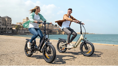 The L20 3.0 series. (Image source: Engwe)