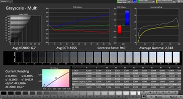 CalMAN - grayscale tracking