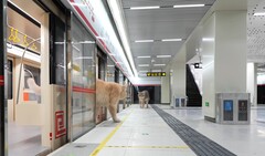 A cat alighting from the train (Image source: Xing&#039;s World via YouTube; screenshot)