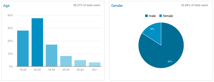 Google Analytics Demographics