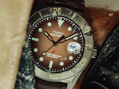 Huckberry x Timex Deepwater Reef 200 dive watch with a brown dial, stainless steel case, black bezel, and matching brown strap.