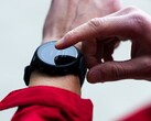 The Garmin beta version 22.22 is now rolling out to smartwatches, including the Forerunner 955. (Image source: Garmin)
