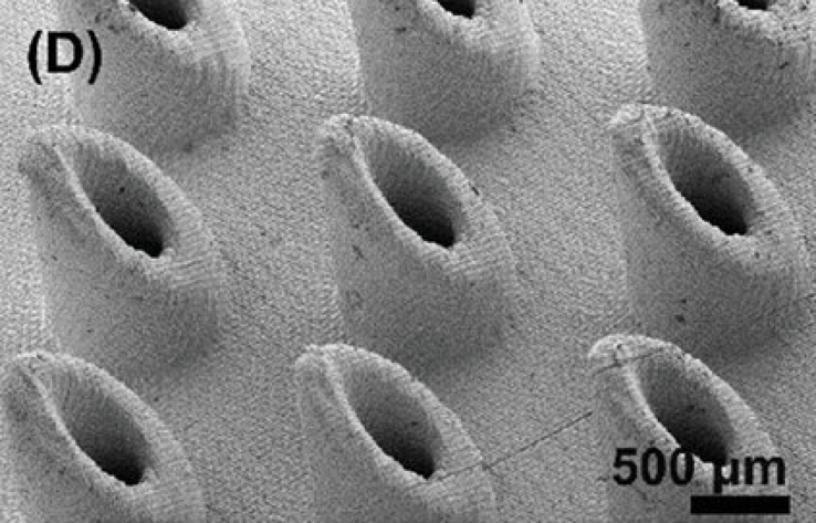Scanning electron microscopy (SEM) image of 3D printed MNA (microneedle array). (Image source: Advanced Healthcare Materials)