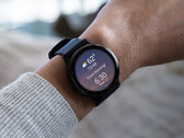 Garmin has not signified when v11 updates will reach stable status yet. (Image source: Garmin)