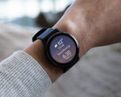 Garmin has not signified when v11 updates will reach stable status yet. (Image source: Garmin)