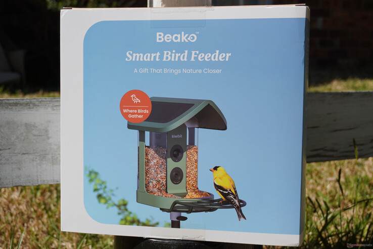 Gifting is heavily suggested 