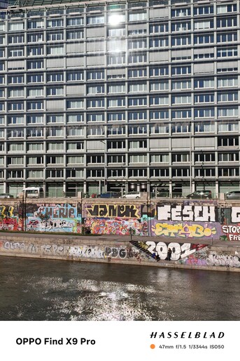 Oppo 47mm sensor crop from main camera.