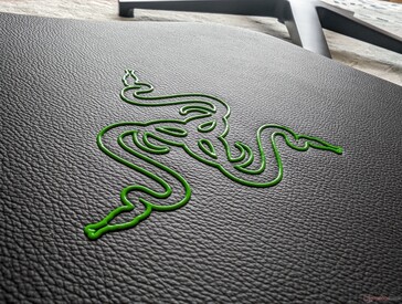 Classic Razer logo on the backrest. If green is too "gamer", then the black option will be more office friendly