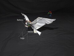 An image of RoboFalcon2.0 (Image source: researchers; edited)