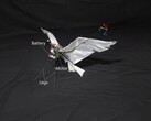 An image of RoboFalcon2.0 (Image source: researchers; edited)