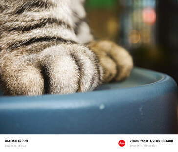 (Image source: Xiaomi)