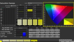 CalMAN: Saturation (calibrated)