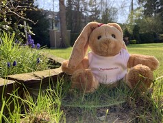 Full-size sample picture Huawei P30 Pro