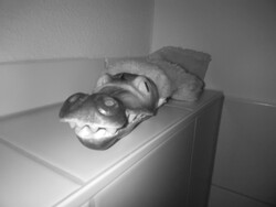 Night vision camera image